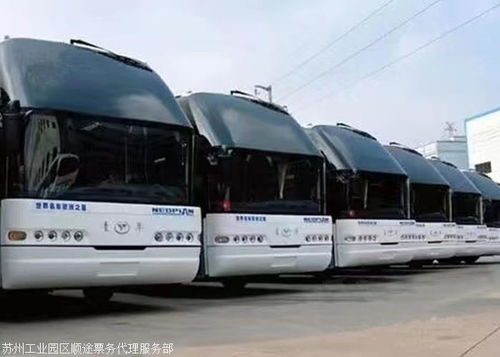 德州至肇庆汽车大巴 高速直达·实时全境·票务代理服务全解析